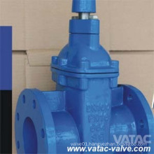 Cast Iron/Ductile Iron Pn6/Pn10/Pn16 Resilient Gate Valve